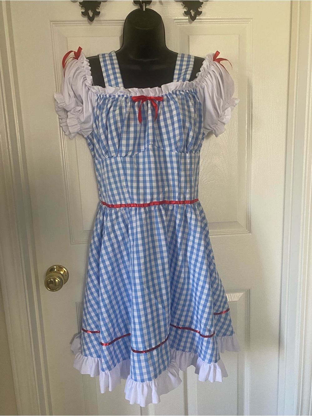 Dorothy Wizard of Oz Halloween Dress